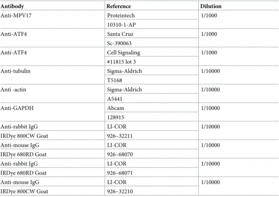 Table 2. List of antibodies and their dilutions used for western blotting.