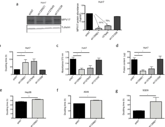 Fig 2. Effect of shRNA-mediated MPV17 knockdown on the proliferation of cancer cell lines