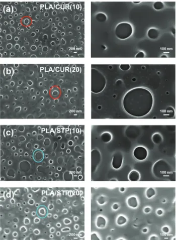 Fig. 5 SEM micrographs of (a) PLA/CUR(10), (b) PLA/CUR(20), (c) PLA/