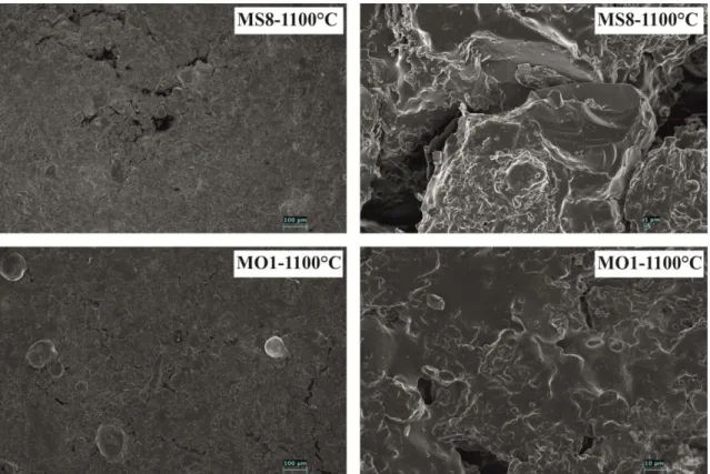 Fig. 11: Scanning electron micrographs of tiles from mixtures MS8 and MO1. 