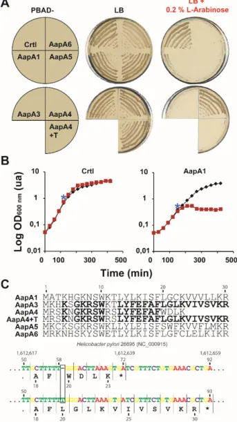 Fig. 1.  Overexpression of the AapA peptide in E.coli resumes growth and diminishes plating  efficiency