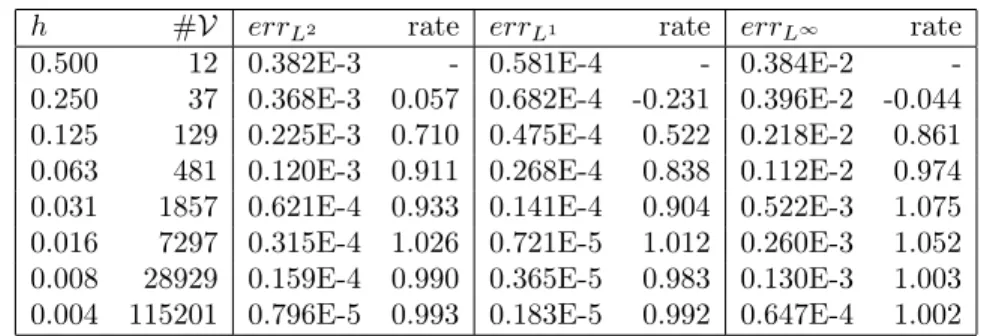 Table 2. Test 1, anisotropic case with Λ xx = 1 and Λ yy = 10 −3