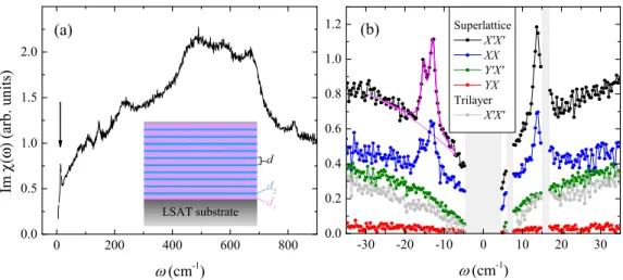 FIG. 1. (a) Spectrum of a PLCMO(10 nm) / YBCO(7 nm) superlattice, illustrated bottom center, in z(X  X  )z scattering geometry showing the comparatively intense and narrow line width of the low-frequency modes compared with the phonon modes above 70 cm − 1