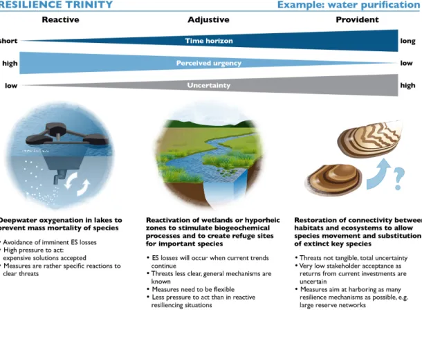 Figure 1. Measures to safeguard the ecosystem service (ES) of water purification across  different time horizons