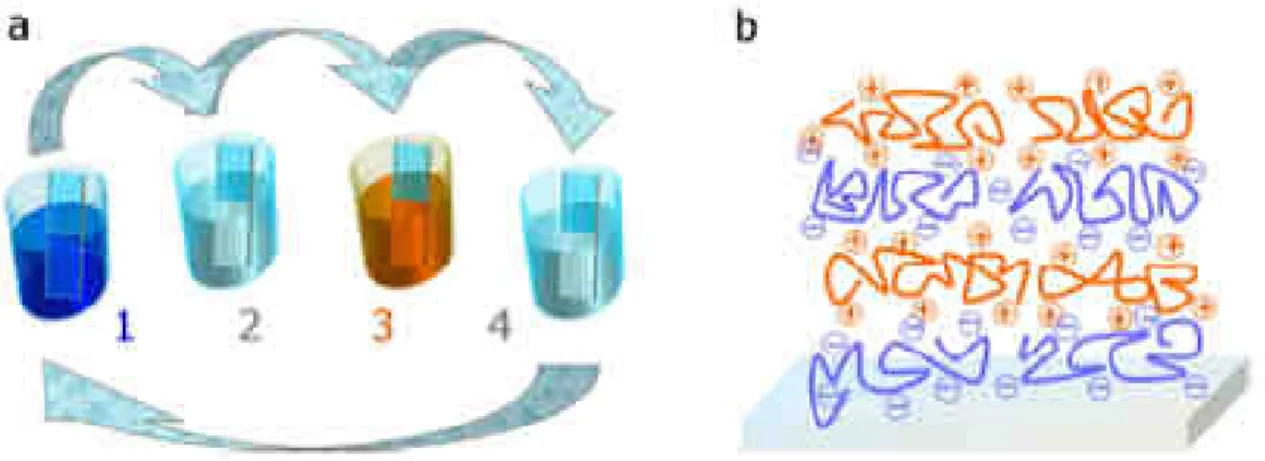 Figure 1.2 : a) Principe de la méthode de construction de films multicouches de polyélectrolytes