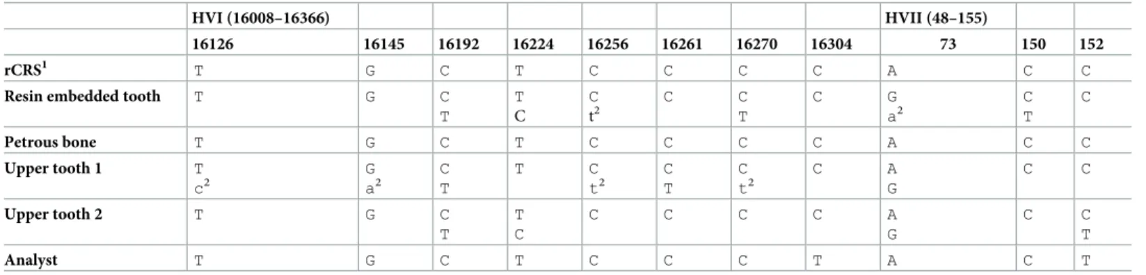 Table 4. Results of mtDNA Sanger sequencing for different bone and teeth samples from the remains.