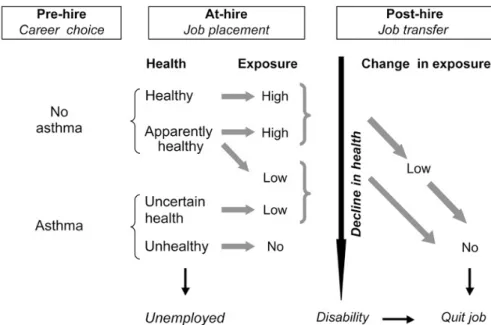 Figure 4. Le biais du travailleur sain dans l’asthme. Reproduit de Le Moual et al. [31]. Le choix de métier (et d’un  niveau  d’exposition  à  des  facteurs  considérés  à  risque  par  le  sujet)  peut  être  influencé  par  le  statut  de  la  maladie av