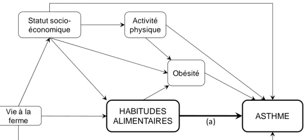 Figure 6. Exemple de DAG dans l’étude de l’effet causal des habitudes alimentaires sur l’asthme (représenté par  la flèche (a)), prenant en compte les facteurs de confusion potentiels. Adapté de Bédard et al. [237]. 