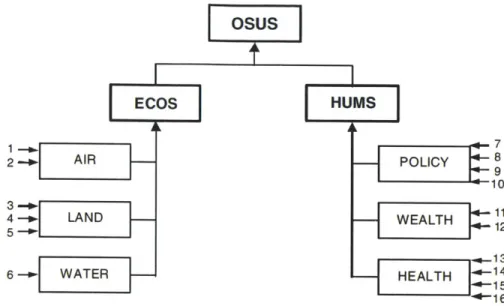 Figure  10:  Hierarchical  structure of SAFE  model.