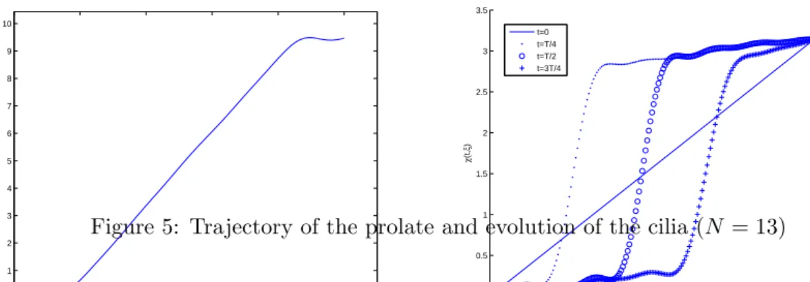 Figure 5: Trajectory of the prolate and evolution of the cilia (N = 13)