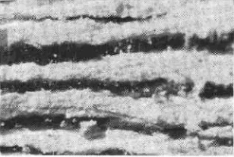 Fig.  2  Ice  lenses (dark  portion  -  ice;