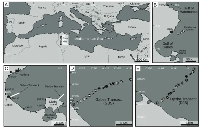 Fig. 1. Location maps of the investigated region. A) The Mediterranean Sea; B) The Gulf of Gabes, the stylized factory indicates the position of the main phosphate industrial complexes; C) Position of the coastal stations, the stylized factories indicate t