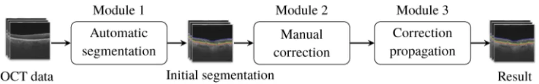 Fig. 1. Our user-assisted segmentation framework is comprised of three modules: (1) initial automatic segmentation; (2) manual correction of segmentation errors over a subset of the volume; and (3) propagation of the segmentation corrections to other regio