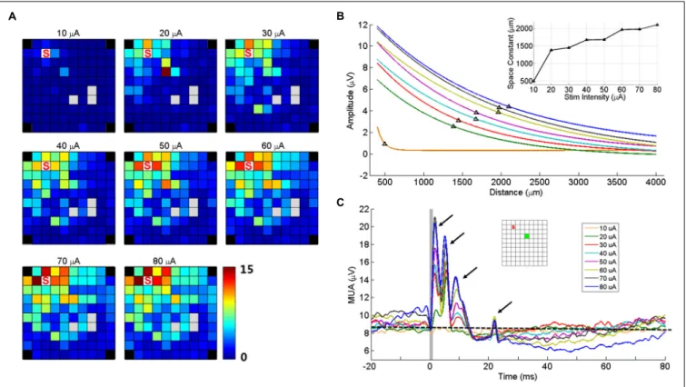 Figure 7C shows the MUA responses recorded at one electrode (green square) to stimulation of increasing intensities