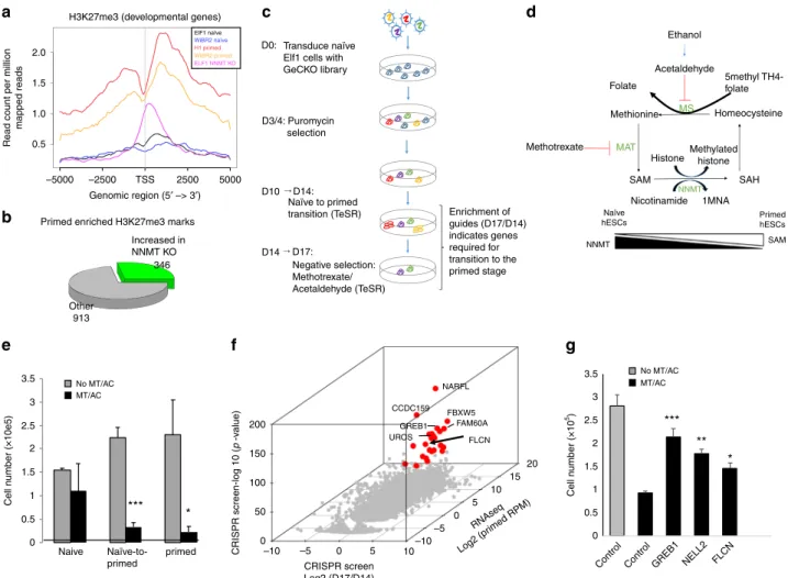 Fig. 1 CRISPR-Cas9 screen reveals FLCN as an essential gene during the exit from the naïve pluripotent state