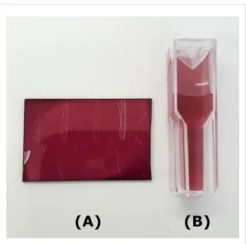 Figure 1: (A) Thin polymer film with in situ grown AuNPs (optical path: