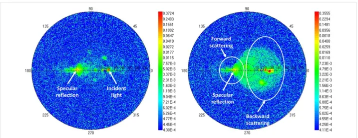 Figure 3: Experimental BRDF measurements at θ i  = −20°and λ = 570 nm. (Left) Non-annealed sample