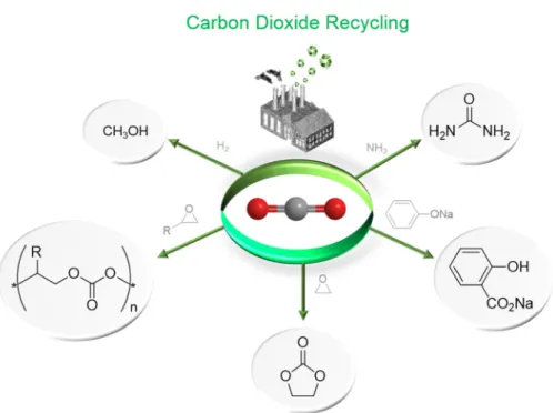 Figure 1. Organic synthesis using CO 2  as a building block. 
