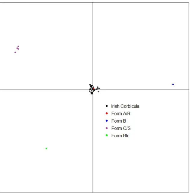 Figure 5. Genetic diversity and genetic relationships in invasive Corbicula clams estimated through a  Discriminant Analysis of Principal Components based on multilocus genotypes