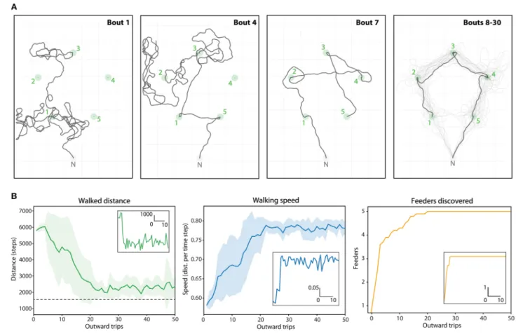 FIGURE 7 | Route ontogeny in the Positive (5 feeders) array. (A) Example traces of one agent’s outward foraging bouts over time (bouts 1-&gt;30), given the upper limit of 10,000 steps