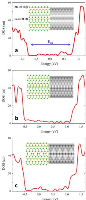 Figure 3 shows the Se-zz MTBs results which have lower formation energies compared to the zz MTBs (for the  Mo-zz MTB results see Figure S3)