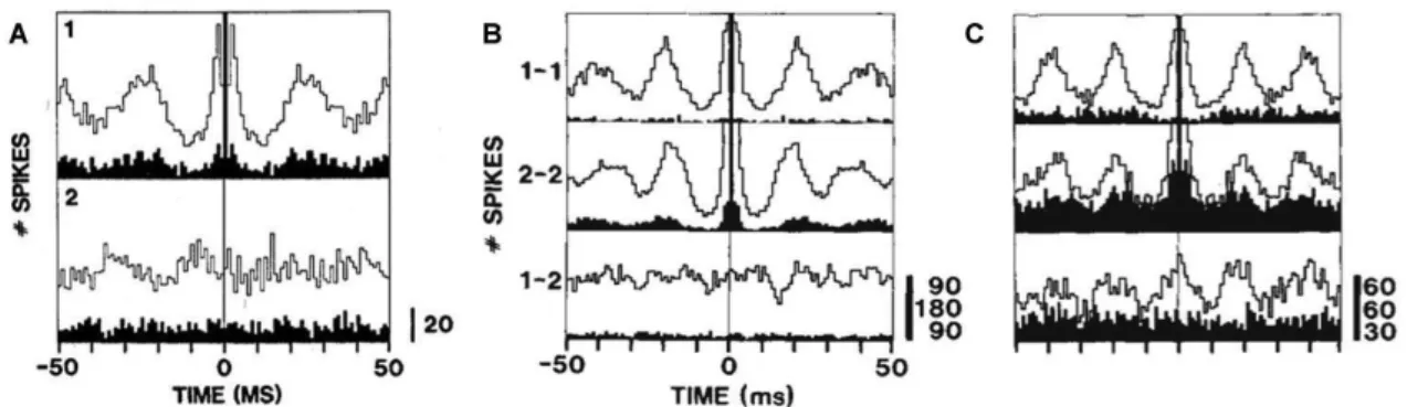 Figure 1.8: A) Temporal properties of the MUA from area 17 in a 5-week-old kitten (1) Autocor- Autocor-relograms (ACF) for forward (filled bars) and reverse (unfilled bars) direction of stimulus  move-ment