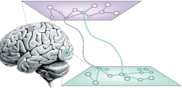 Figure 1.9: Schematic representation of transient distributed neural assemblies with dynamic long- long-range interactions (from Varela et al