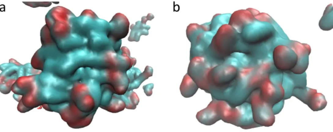 Figure S4.  Surface images of the GMO aggregates where the carbon atoms are colored in cyan and  the oxygen atoms in red