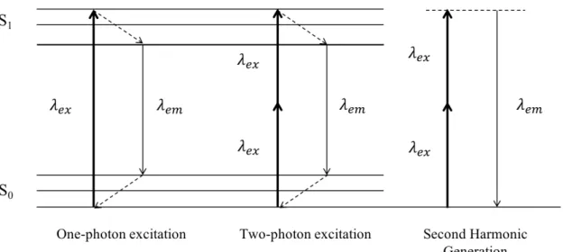 Figure 5: Jablonski diagram of one- and two-photon excitation fluorescence, and Second Harmonic Generation (SHG) Considering one-photon excitation fluorescence, one photon is absorbed which brings the molecule or the nanostructure from the ground state (S 