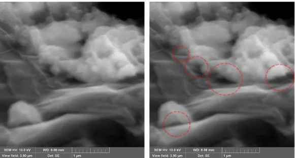 Figure S7. SEM analysis of HKUST-1@HRGO-15 (interfacial pores highlighted by red circles)