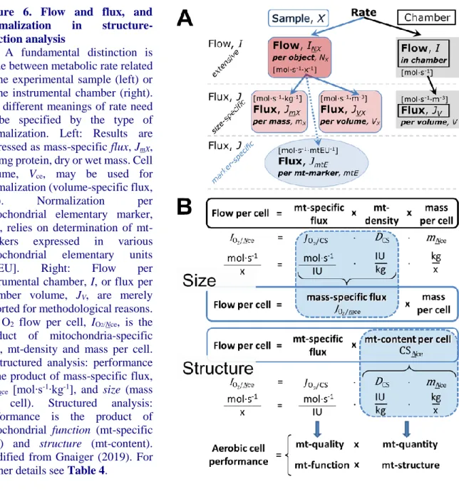 Figure  6.  Flow  and  flux,  and  normalization  in   structure-function analysis 