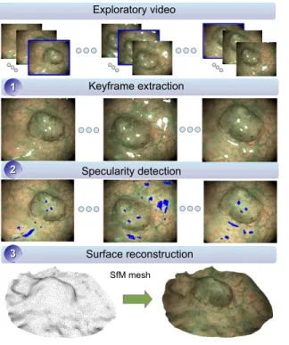 Fig. 4. Steps required for 3D reconstruction using SfM. The first row shows all frames in the exploratory video divided in several intervals