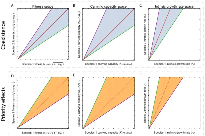 Figure S1: Space of intrinsic growth rates for coexistence and priority effects. The dynam- dynam-ics correspond to the Lotka-Volterra model (Eq
