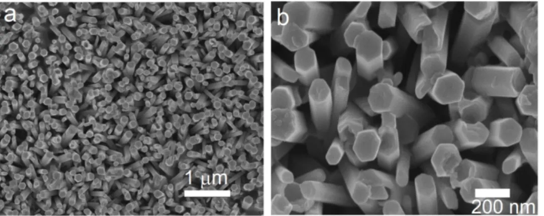 Figure 1. SEM microstructures of the as-prepared vertically aligned ZnO array (sample Z-nR) at (a)  low magnification and (b) high magnification
