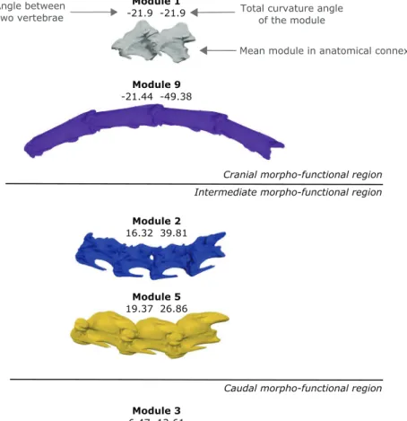 Fig. 4   Reconstruction of eight  of the nine mean modules. 