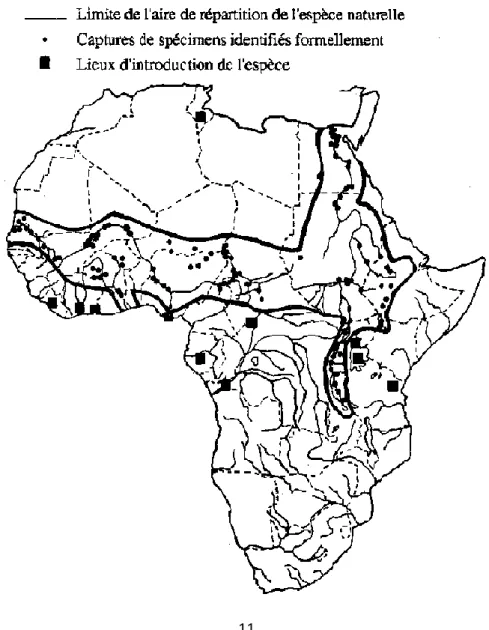 Figure 1.2. Répartition géographique originelle et introductions de T. nilotica en Afrique  (modifié d'après PHILIPPART et RUWET, 1982) 