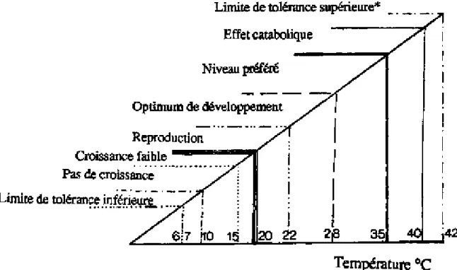 Figure 2.1. Limites de tolérance et préférence thermiques pour la reproduction et la  croissance des tilapias (d'après BALARIN et HALLER, 1982; * d'après DENZER, 
