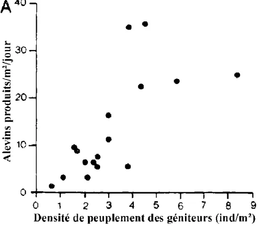 Figure 2.2. Influence de la densité des géniteurs (A) sur la production d'alevins de T