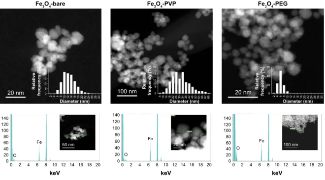 Figure 1 characterization of IONP by TeM.