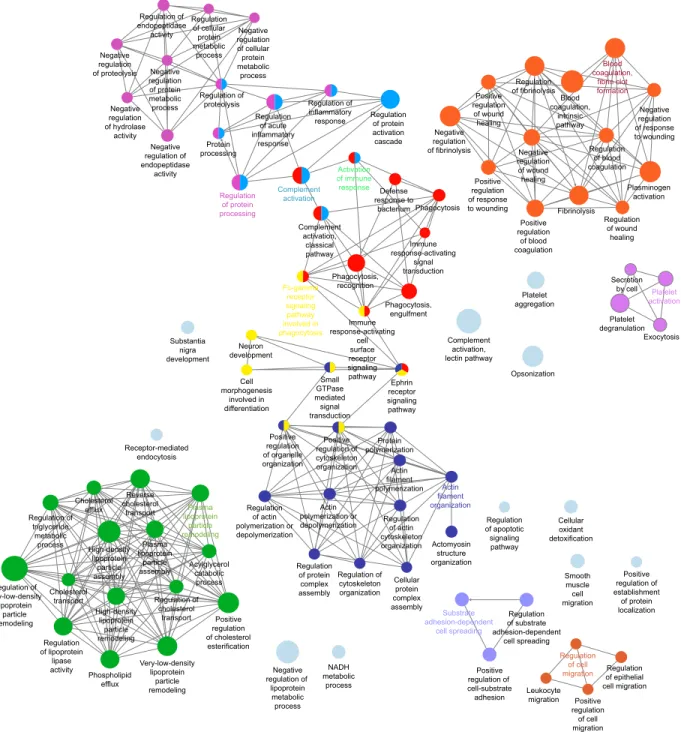 Figure 4 Biological processes network of associated proteins on IONP-Peg Pc.