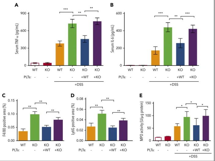 Figure 5. Platelet HYAL2 regulates serum inﬂammatory cytokines and inﬂammatory leukocyte inﬁltration in mice with DSS-induced colitis