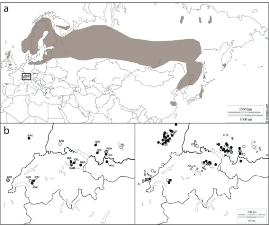 Fig. 2   Recent and historical  distributions of N. pumila and  the investigated populations: 