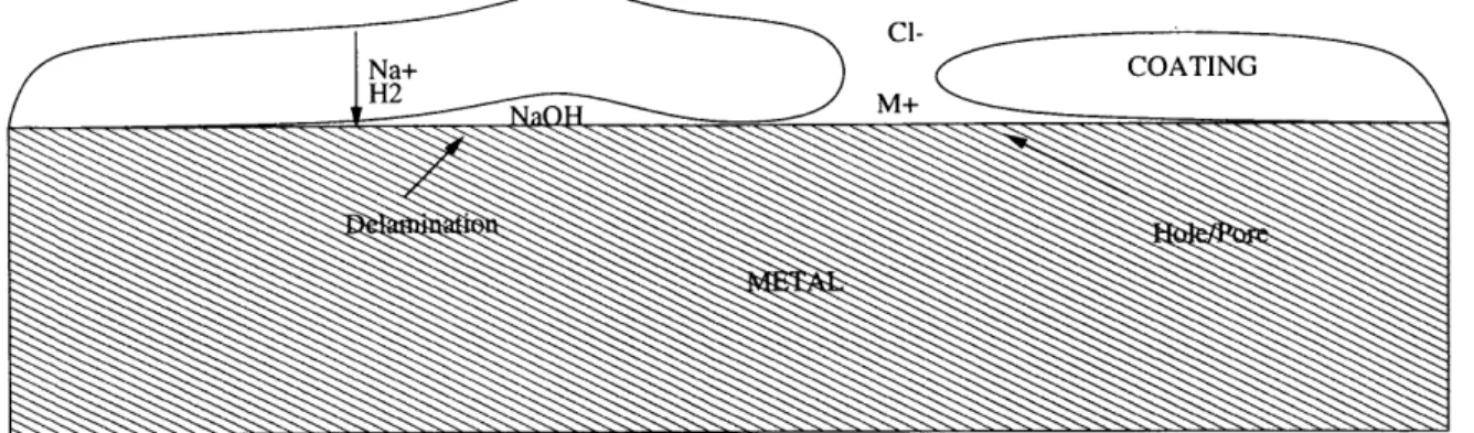 Figure  2-1:  Schematic  Cross  Section  of Underfilm  Corrosion