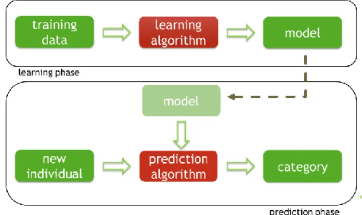 Figure 1: training (learning phase) and use (prediction phase) of a machine learning model