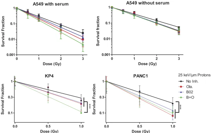 Figure 6. Survival fraction. A549, KP4 and PANC1 cells were exposed to 225 kV X-rays or 25 keV/µm broad proton beam at 2 Gy/min.