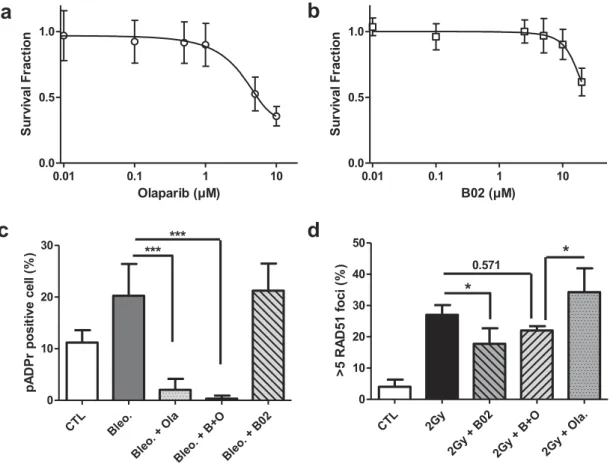 Figure 1. Inhibitor cytotoxicity and efficiency. (a-b) A549 cells were exposed to increasing concentrations of Olaparib and B02 during 24 h