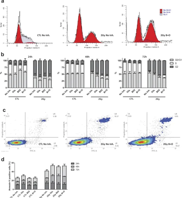 Figure 3. Inhibitors effects on cell cycle arrest and apoptosis. A549 cells were irradiated with 2 Gy protons
