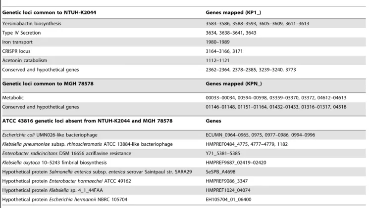 Figure 2. Genetic organization of the ATCC 43816 K2 capsule locus. Scale representation of the capsular polysaccharide biosynthetic locus (galF-uge) and LPS locus (wzm-yvet)