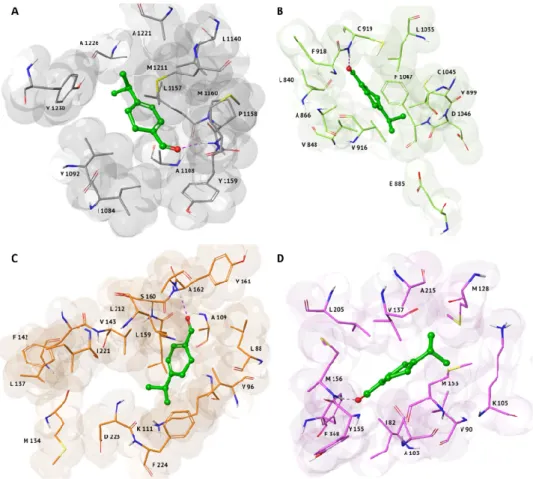 Figure  1.  3D  representations  of  the  best  docking  pose  of  α-terpinen-7-al  with  the  following  anti-cancer targets: (A) c-Met (PDB: 2WGJ), represented as grey surface; (B) VEGFR2 (PDB: 3VHE),  represented  as  green  surface;  (C)  PDK1  (PDB:  