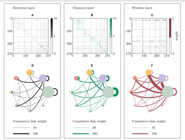 FIGURE 5 | Communities of the Multilayer-Louvain C. elegans network. The network is divided into 8 communities of different size using the Multilayer implementation of the Louvain algorithm (see Methods 5.4)